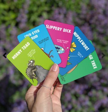 Hand holding 'Don't Be A Dik Dik' card game cards like Horny Toad, Cock-Eyed Squid, Slippery Dick, Nipplewort, and Savage Tree.