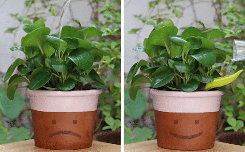 Leaflow Pot Watering Funnel