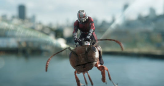 Happy Birthday Paul Rudd!