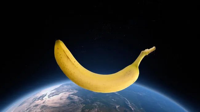 The Weirdest Stuff We’ve Sent into Orbit