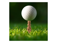 Set of six gopher-shaped golf tees by Kikkerland — Gopher the Caddie Golf Tee set for fun golf gifts.