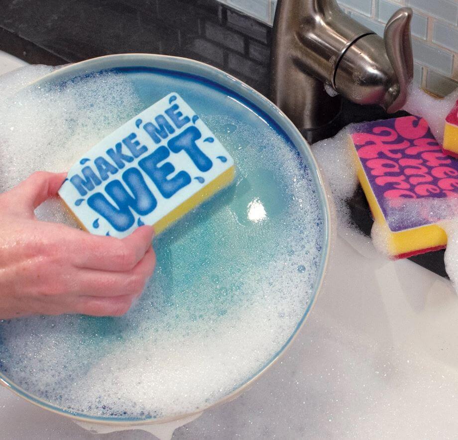Make Me Wet Squeeze Me Hard Kitchen Sponge Set
