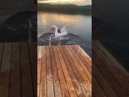 giant swan pool float Canada inflatable summer pool toy