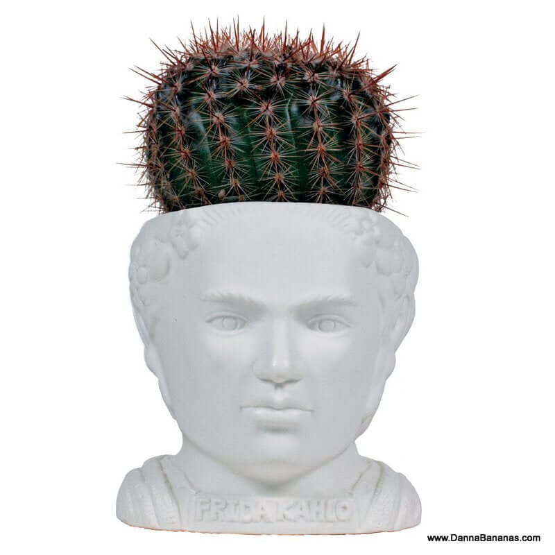 Frida Kahlo Ceramic Planter Pot - Fertile Minds