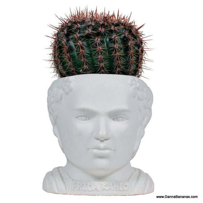 Frida Kahlo Ceramic Planter Pot - Fertile Minds