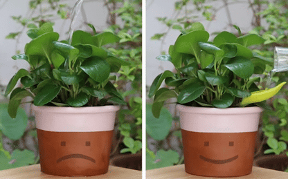 Leaflow Pot Watering Funnel