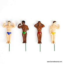 Mini Plant Pot Hunks Plant Stakes