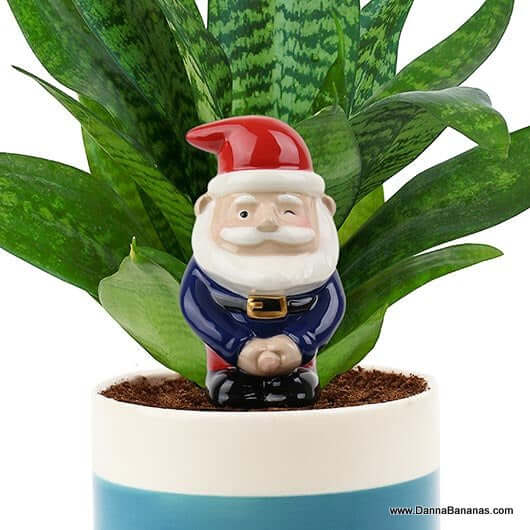 Duck Feet Planter — funny gifts collection at Danna Bananas.